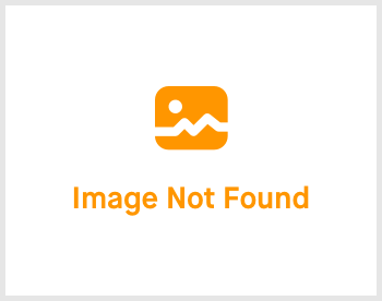 Roeland de Bruin -  De bruidsfotograaf voor al uw spontane en moderne bruidsfoto's