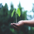 Eco-chique tuinmeubelen? Duurzaamheid gecombineerd met stijl!