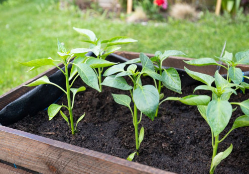 Hoeveel zakken tuinaarde heb je nodig voor een plantenbak van 120 x 40 x 40 centimeter