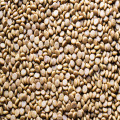 Verwarmen met houtpellets: duurzaam, comfortabel en verrassend efficiënt
