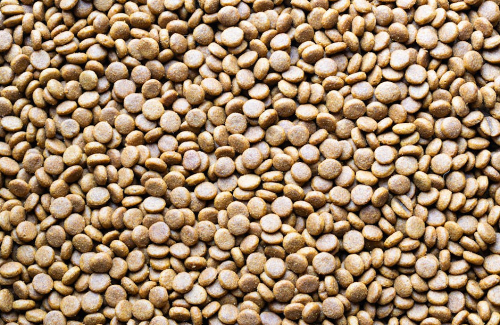 Verwarmen met houtpellets: duurzaam, comfortabel en verrassend efficiënt